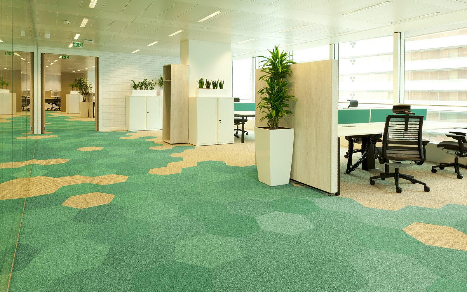 Carpet for Offices