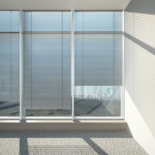 Blinds for Office Windows