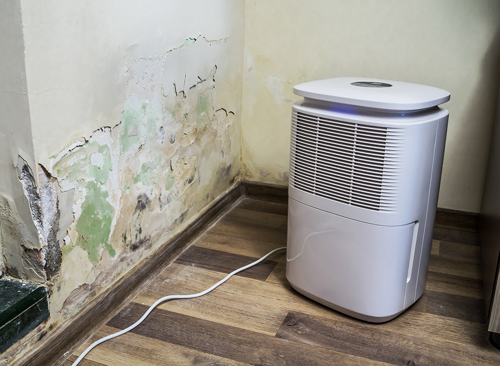 Where to Place an Air Purifier in an Office